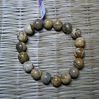Vòng Tay Gỗ Hóa Thạch 8 ly